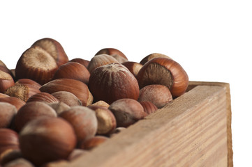 Hazelnut in wooden box isolated