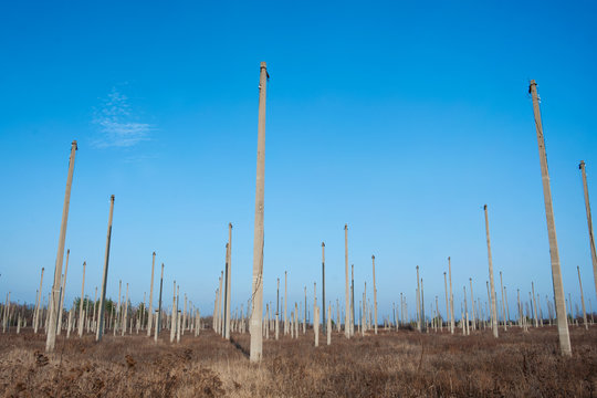 many concrete poles standing in the field