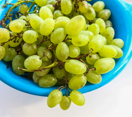 sprigs of green grapes in a colander