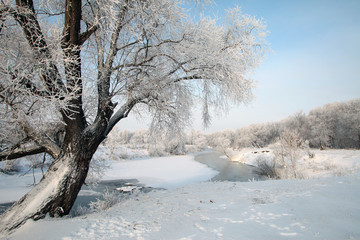 winter landscape
