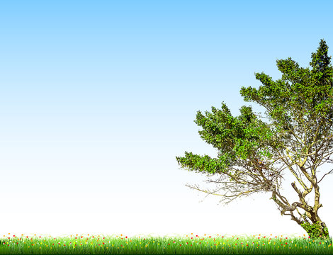 Tree Landscape with blue sky and grass. Vector background
