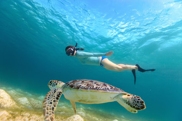 Young girl snorkeling with sea turtle - obrazy, fototapety, plakaty