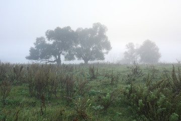 misty autumn morning