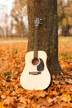Guitar on autumn leaves