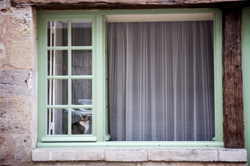 Fototapeta na wymiar old French house green window with a cat in the French town of