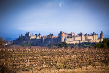 Fototapeta na wymiar View of Carcassonne castle in Languedoc-Rosellon (France)