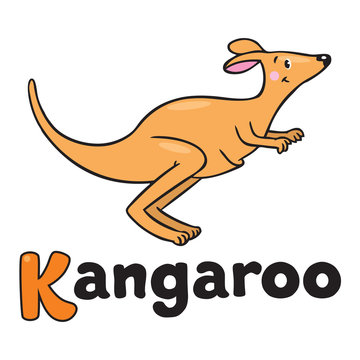 Little kangaroo, illustration for ABC. Alphabet K