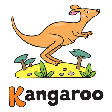 Little kangaroo, illustration for ABC. Alphabet K