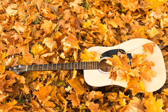 Guitar on autumn leaves