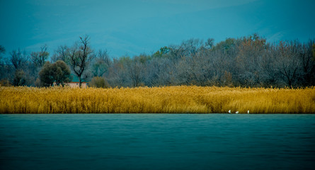 трое © serghupper_83