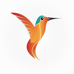 Hummingbird - vector illustration