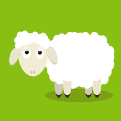 Funny sheep