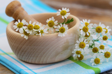 Obraz na płótnie Canvas Fresh chamomile flowers, closeup