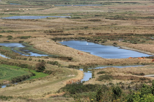 Marais de Brouage