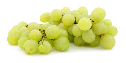 winogrono