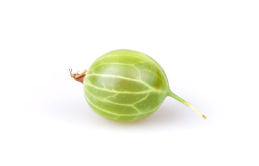 gooseberry