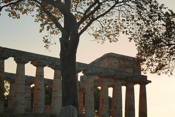Tempio di Cerere particolare