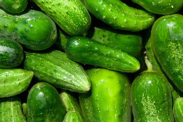 cucumbers