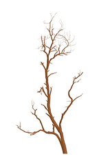 Dry Tree Vector Design