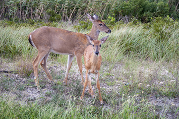 Mommy and Me