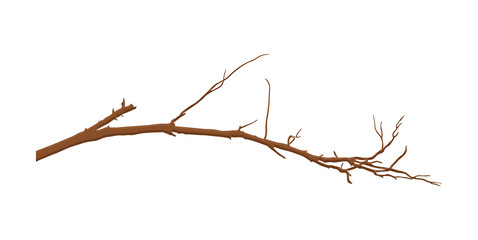 Dry Branch