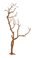 Dead Tree Branches Design Shapes