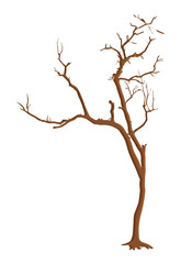 Dead Tree Branches Elements