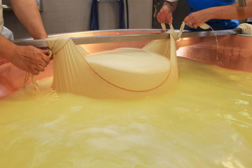 preparazione parmigiano reggiano formaggio tipico emiliano © francescodemarco