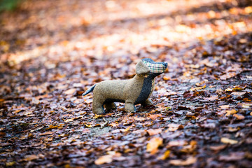 Soft toy dog is placed in autumn forest