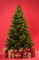 Christmas tree with gifts on red background full length