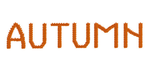 inscription Autumn on the autumn leaves