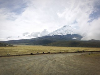 Fototapeta premium Volcan Cotopaxi