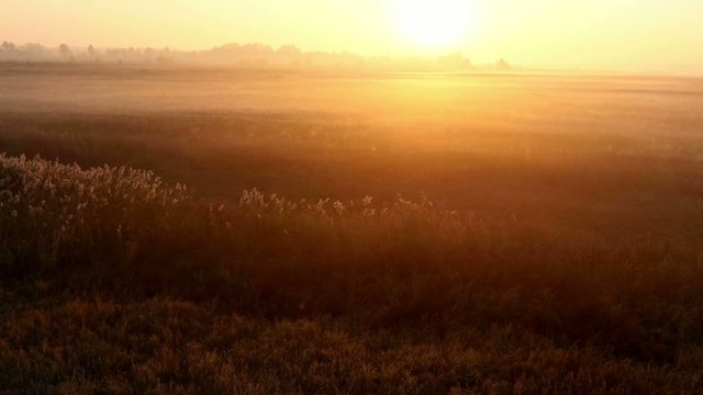 Sunrise over the meadow in a foggy autumn day. Aerial shot.
