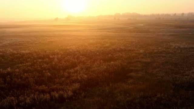 Sunrise over the meadow in a foggy autumn day. Aerial shot.