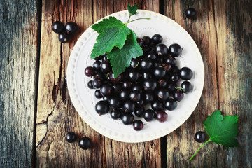 fresh black currant