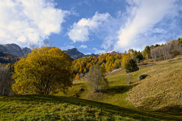 paesaggio di montagna