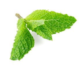 Fresh mint closeup on white © Tim UR