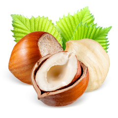 Filberts with leaves isolated on a white background.