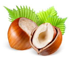 Hazelnuts with leaves isolated on a white background.