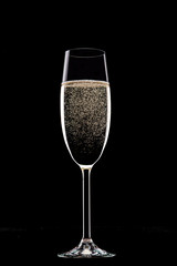 Champagne glasses