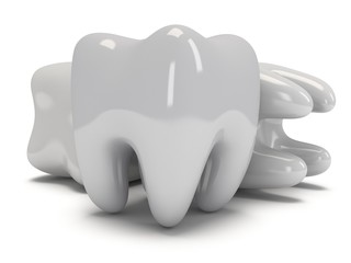 Teeth isolated on white back.