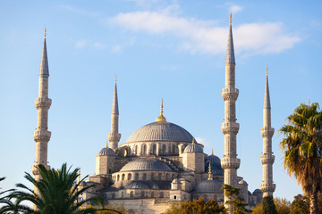 Fototapeta na wymiar Blue Mosque in Istanbul on a sunny day