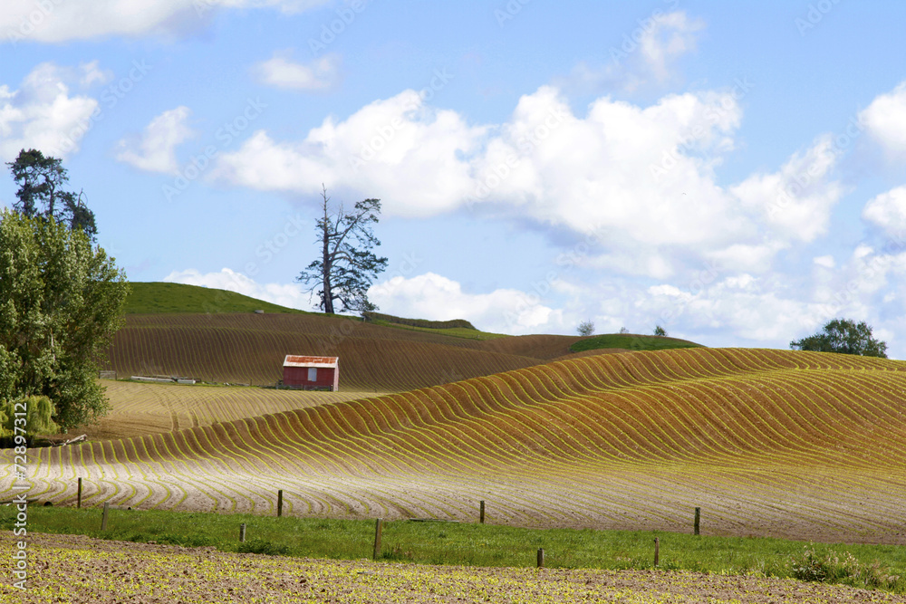 Sticker barn in field