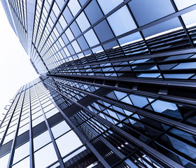 Obraz premium Windows of Skyscraper. office buildings