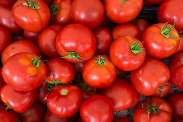 red tomatoes background.  Group of tomatoes