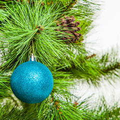 Christmas ball on fir branches. xmas decoration