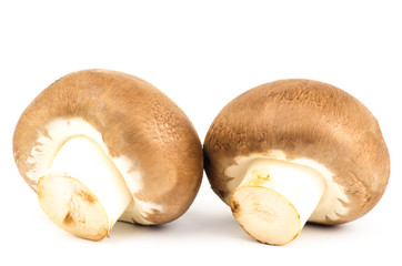 Fresh Champignon mushroom