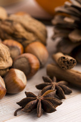 Different kinds of spices, nuts and dried oranges - christmas de