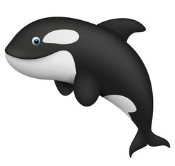 Fototapeta premium Cute realistic killer whale