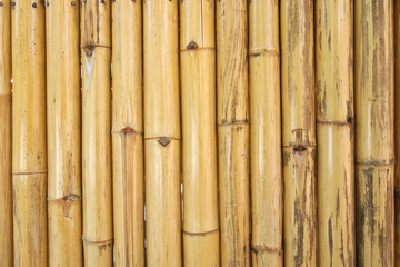 Naklejka premium Yellow bamboo texture and background